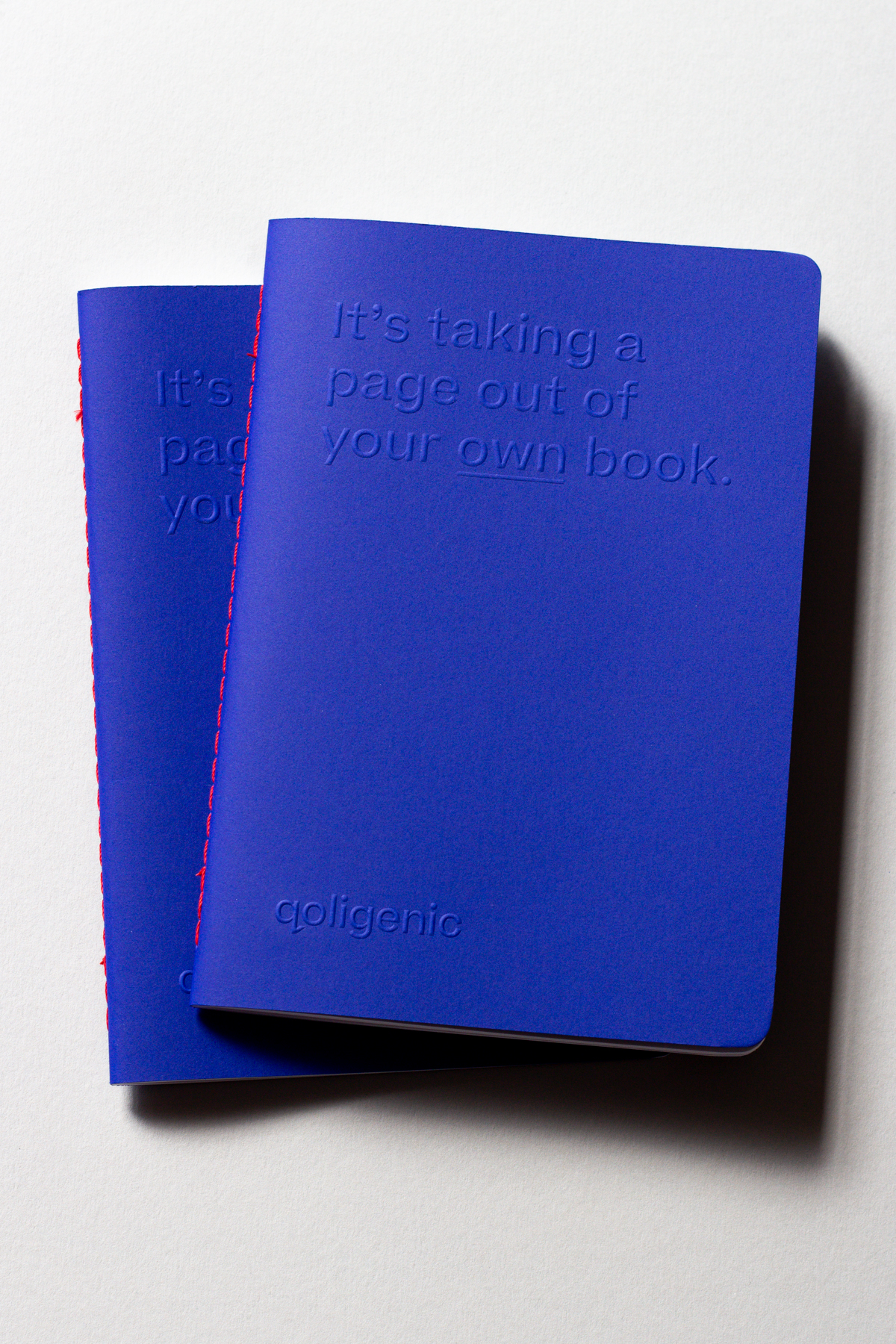 Hungry-Workshop-Qoligenic-Notebooks-3